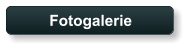 Fotogalerie