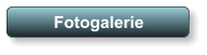 Fotogalerie